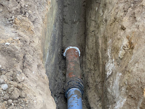 Best Basement water damage restoration  in Laguna Park, TX