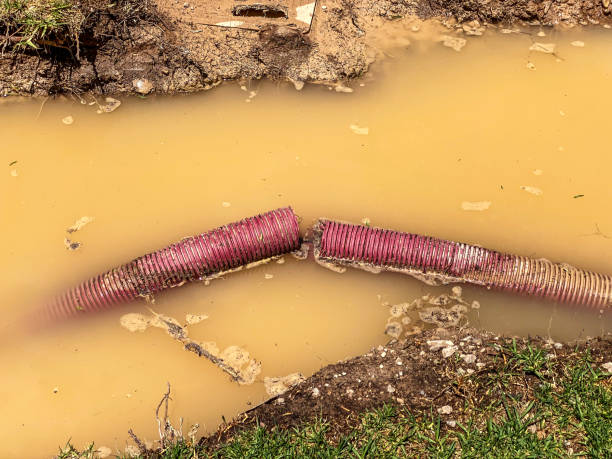 Best 24-hour water damage restoration  in Laguna Park, TX